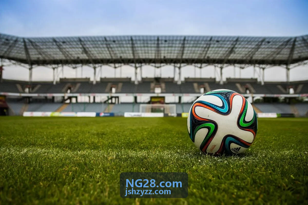 NG28.COM 研发效能仪表盘