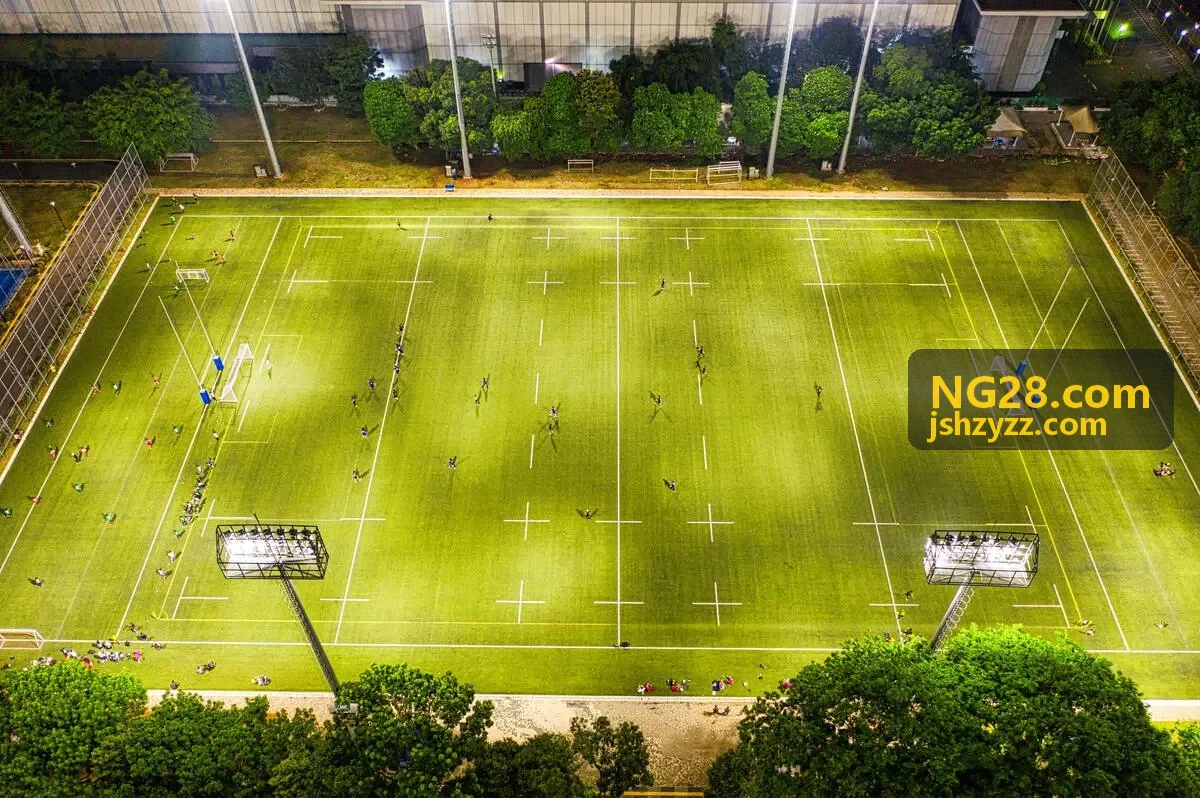 NG28.COM 案例金融行业